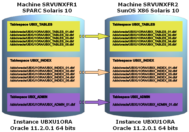 contexte migration instance Oracle 11g cross plateforme