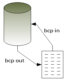 schema bcp in out