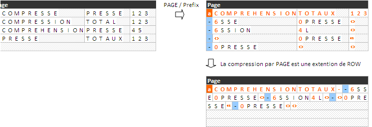 schema compression page mode prefix