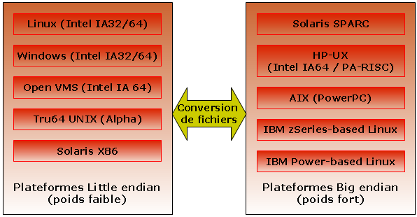 plateforme big endian little endian conversion