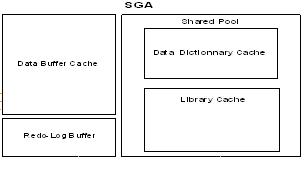 SGA Oracle