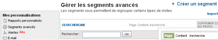 Segment avancé SEARCHENGINE