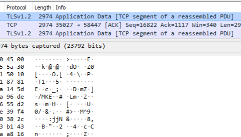 Wireshark capture TLS 1.2 Protocol