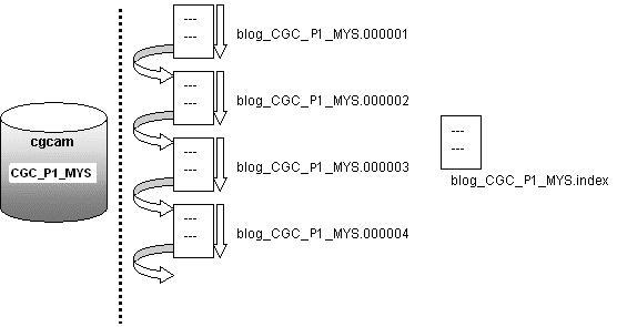 Logs binaires MySQL