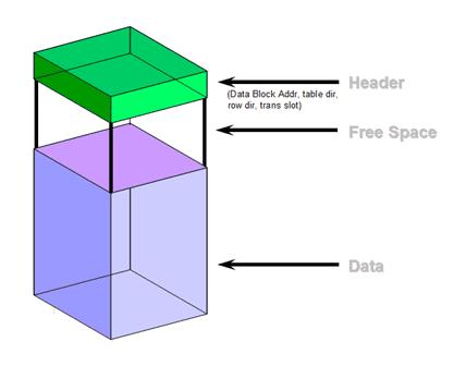 Structure bloc Oracle