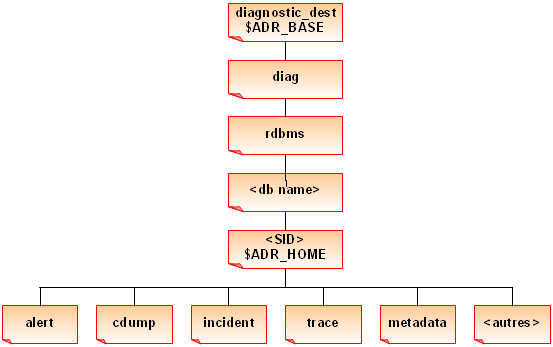 arborescence ADR